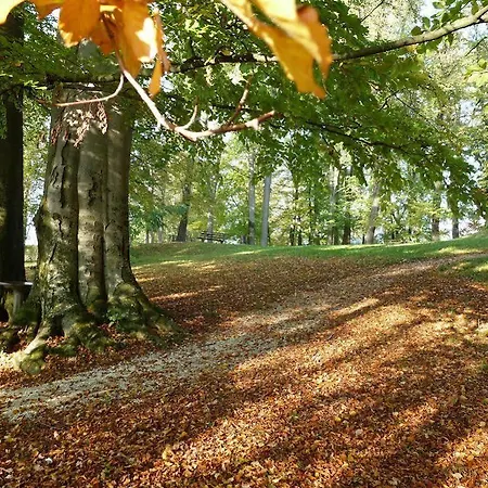 Szálloda Parkhotel Zur Klause